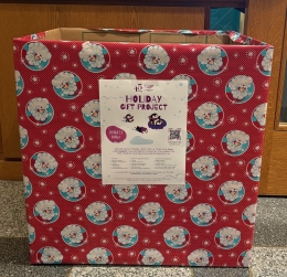 Giant box wrapped in Christmas paper