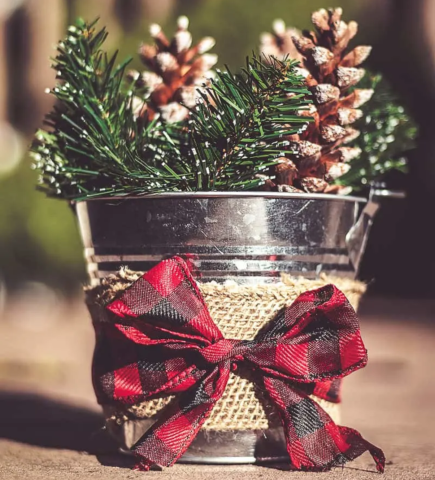 Silver bucket filled with pines cones and greenery