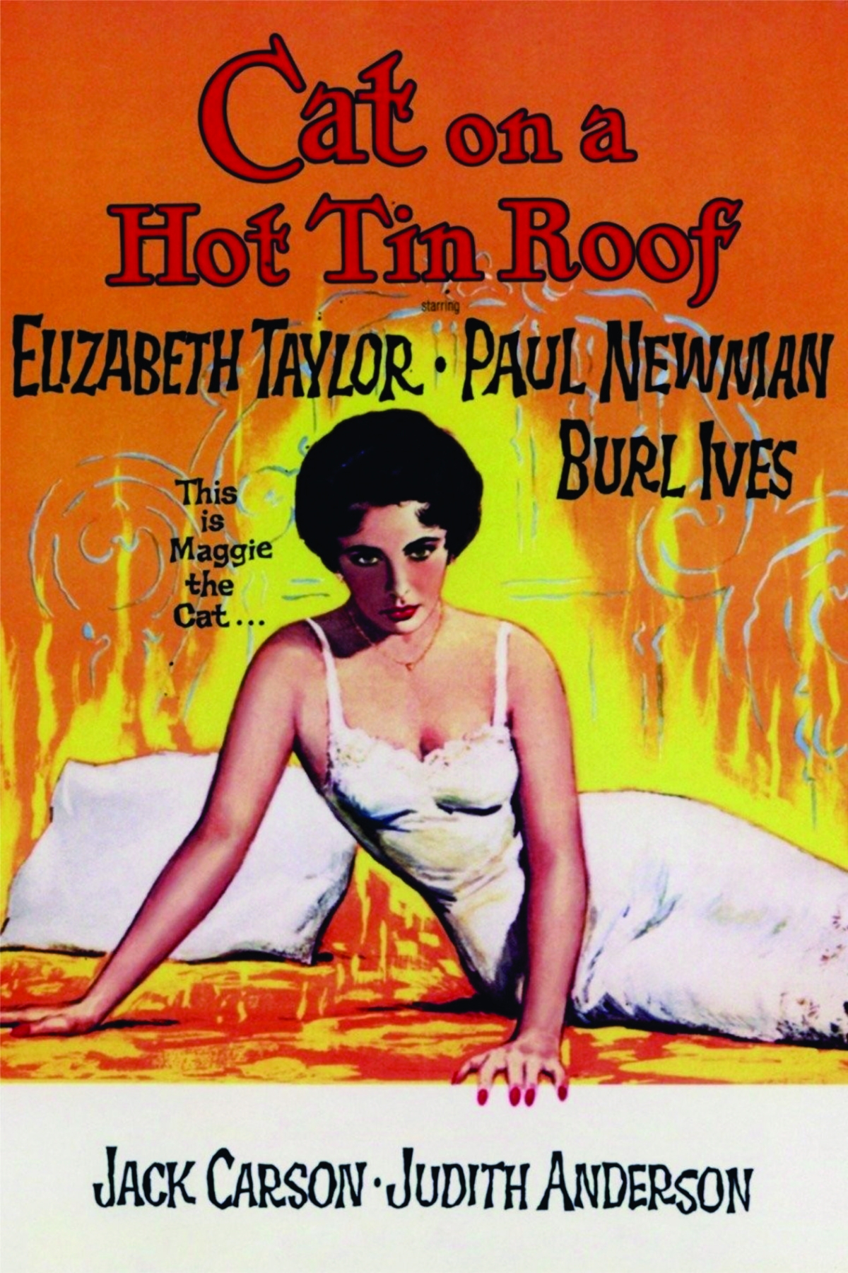 Cat on a Hot Tin Room movie cover